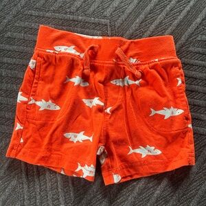 Falls Creek Orange Shark Print Kids Shorts